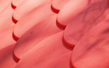 Redford plastic roof costs